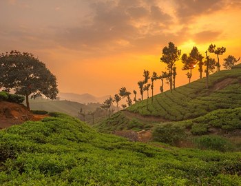 Exploring Holidays India