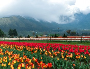 Exploring Holidays India