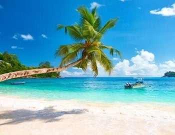 Exploring Holidays India