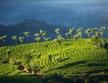 Exploring Holidays India