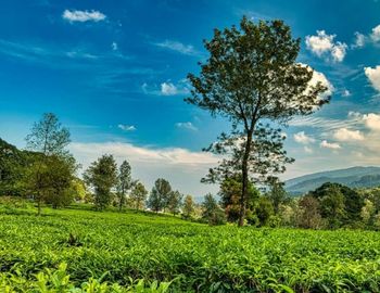 Exploring Holidays India