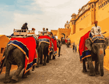 Exploring Holidays India