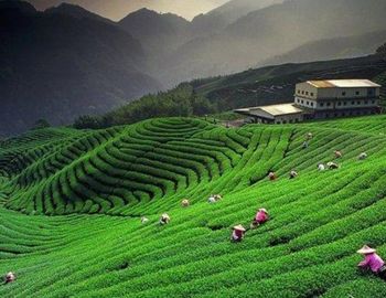 Exploring Holidays India