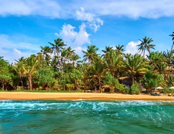 Exploring Holidays India